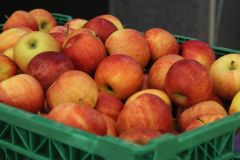 2020-01-11_Tagung_reformiertbewegt_049